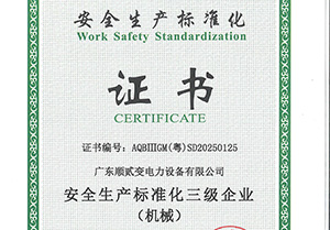 Safety Production Standardization Certificate